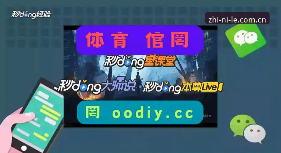网页端 vs 手机端：乐鱼体育平台2025远见版，我为什么更推荐你用手机？