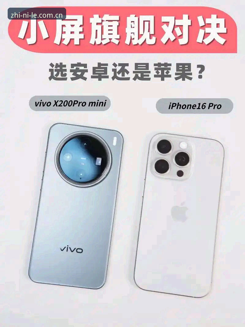乐鱼官网手机版怎么样 手机版vs网页版:乐鱼体育平台2025远见版如何选?一个老用户说了大实话